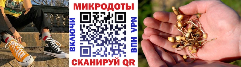 Псилоцибиновые грибы Magic Shrooms  где купить наркоту  Холм 